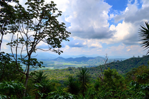 El Salvador Return